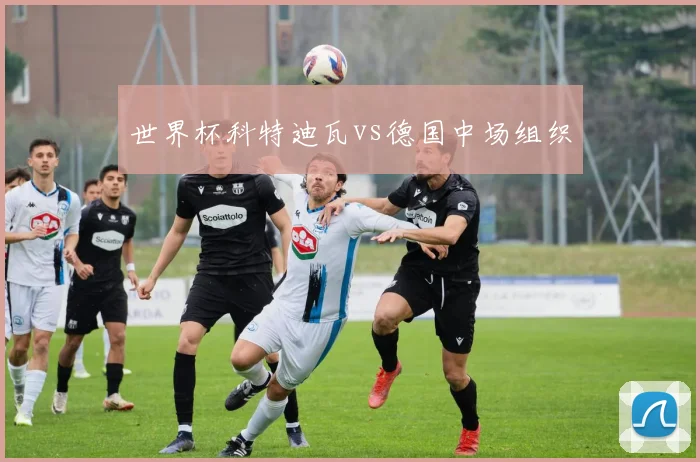 世界杯科特迪瓦vs德国中场组织
